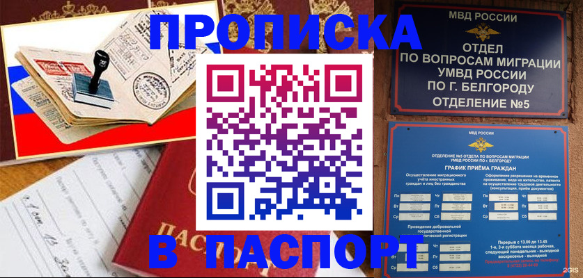купить прописку в Удомле